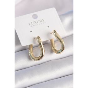 Clariss BJ-BKP8053 Gold Renk Halka Model Pirinç Kadın Küpe