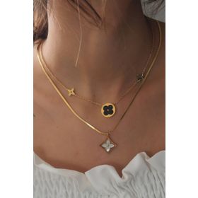 Clariss Çelik Gold Renk Kadın Kolye