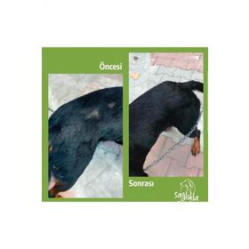 Cleapet Köpek Maxi Sağlık 1 Kutu Havlu 1 Nano Sprey 150 ml 1 Kutu Nano Mendili