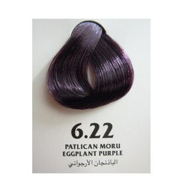 Clemency Farmavita Patlıcan Moru 6.22 60 gr Saç Boyası