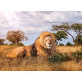 Clementoni 1000 Parça Kral Puzzle