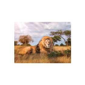 Clementoni 1000 Parça Kral Puzzle