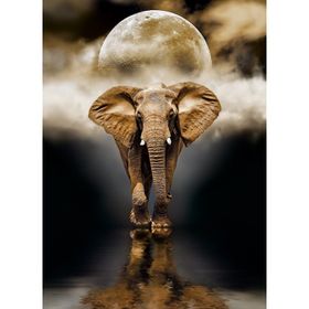 Clementoni 39416 Elephant 1000 Parça High Quality Yetişkin Puzzle