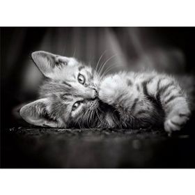 Clementoni 39422 1000 Parça Kedi Yavruları Puzzle