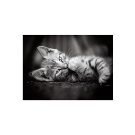 Clementoni 39422BM 1000 Parça Kitty Yavru Kedi Yetişkin Puzzle