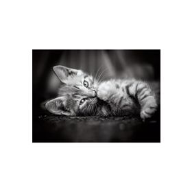 Clementoni 39422BM 1000 Parça Kitty Yavru Kedi Yetişkin Puzzle