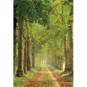 Clementoni Avenue 500 Parça Puzzle