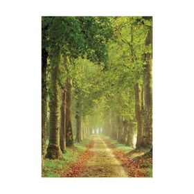 Clementoni Avenue 500 Parça Puzzle