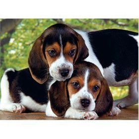 Clementoni Close Together-30289 500 Parça Puzzle