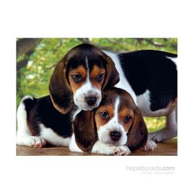 Clementoni Close Together 500 Parça Puzzle
