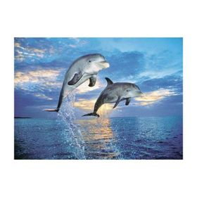 Clementoni Delfini 500 Parça Puzzle