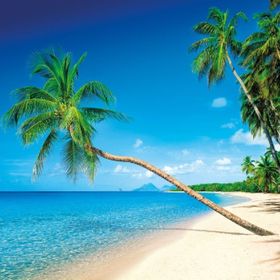 Clementoni Karayip Adaları Martinique 1500 Parça Puzzle