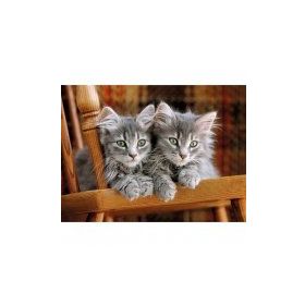 Clementoni Kittens 500 Parça Puzzle