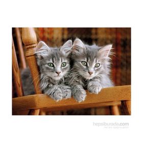 Clementoni Kittens 500 Parça Puzzle