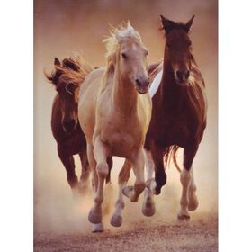 Clementoni Running Horses 1000 Parça Puzzle