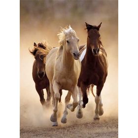 Clementoni Running Horses 1000 Parça Puzzle