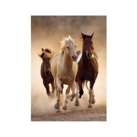 Clementoni Running Horses 1000 Parça Puzzle