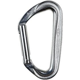 Climbing Technology Passion Egis Silver Kapı Karabina