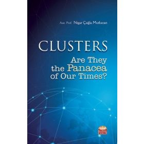 Clusters are They The Panacea of Our Times - Nigar Çağla Mutlucan