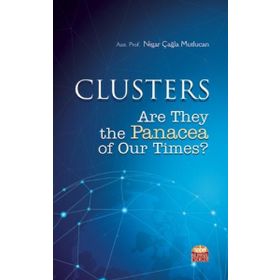 Clusters are They The Panacea of Our Times - Nigar Çağla Mutlucan