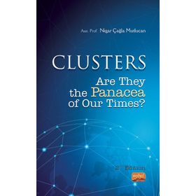 Clusters are They The Panacea of Our Times - Nigar Çağla Mutlucan