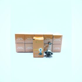 CmSolar 24 V H7 70 W Halogen Standart Ampul