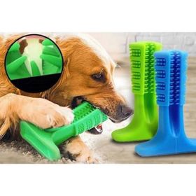 CMT Büyük Boy Köpek Diş Fırçası Isırma Aparatı