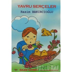 ÇOCUK KİTABI YAVRU SERÇELER ÖYKÜLER - RASIM BAKIRCIOĞLU
