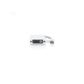 Codegen CPD13 Mini DISPLAY PORT to DVI 24+5 Erkek-Dişi Beyaz Dönüştürücü Adaptör