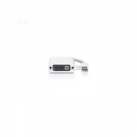 Codegen CPD13 Mini DISPLAY PORT to DVI 24+5 Erkek-Dişi Beyaz Dönüştürücü Adaptör
