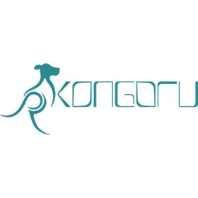 Codegen CPS200 V1.4B AG Destekli Altın Uçlu 20 mt HDMI Kablo