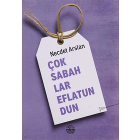 Çok Sabahlar Eflatundun - Necdet Arslan
