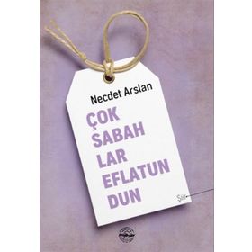 Çok Sabahlar Eflatundun - Necdet Arslan