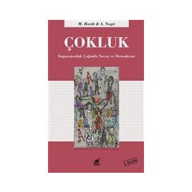 Çokluk - Ayrıntı Yayınları
