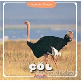 Çöl Hayvanlar Dünyası Kolektif