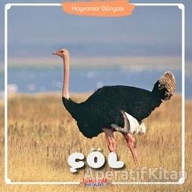 Çöl Hayvanlar Dünyası Kolektif