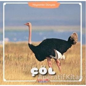 Çöl Hayvanlar Dünyası Kolektif