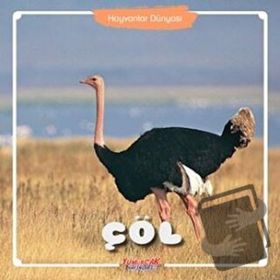 Çöl Hayvanlar Dünyası Kolektif
