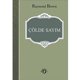 Çölde Sayım - raymon brown