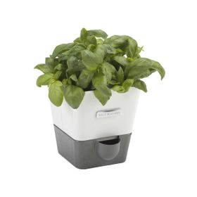 Cole & Mason H105249 Yeşillik Saklama Kabı