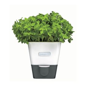Cole & Mason H105249 Yeşillik Saklama Kabı