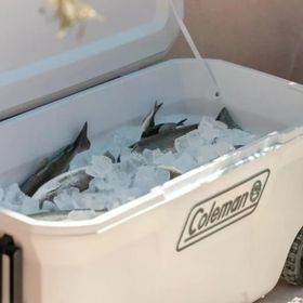 Coleman Extreme 100 QT 94.6 lt Beyaz Buzluk