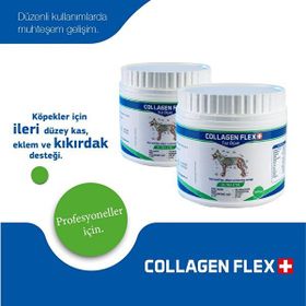 Collagen Flex 400 g 2 Adet Eklem Kas ve Kıkırdak Desteği