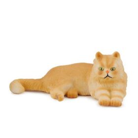 COLLECTA İRAN KEDİSİ