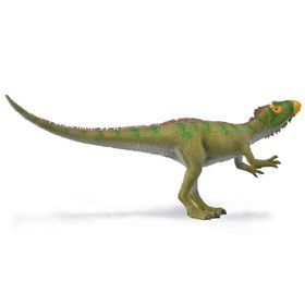 COLLECTA NEOVENATOR