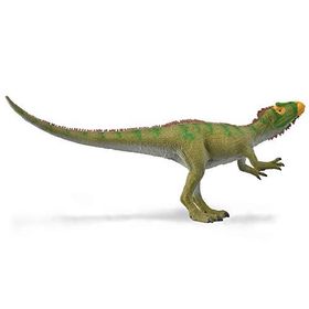 COLLECTA NEOVENATOR