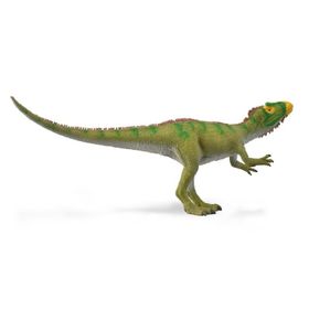 COLLECTA NEOVENATOR