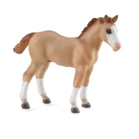 COLLECTA TAY