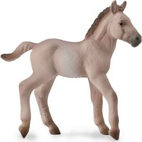 COLLECTA TAY