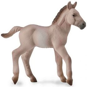 COLLECTA TAY